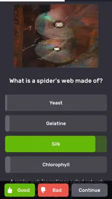 QuizzLand android App screenshot 1